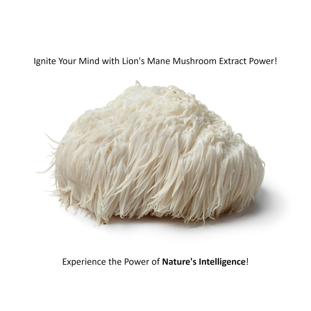 Jetsu Pure 7 Mushroom Powder smoothie blend for convenient daily nutrition