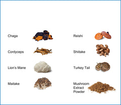 Jetsu Pure 7 Mushroom Powder tea-ready mix adding immune-supporting richness