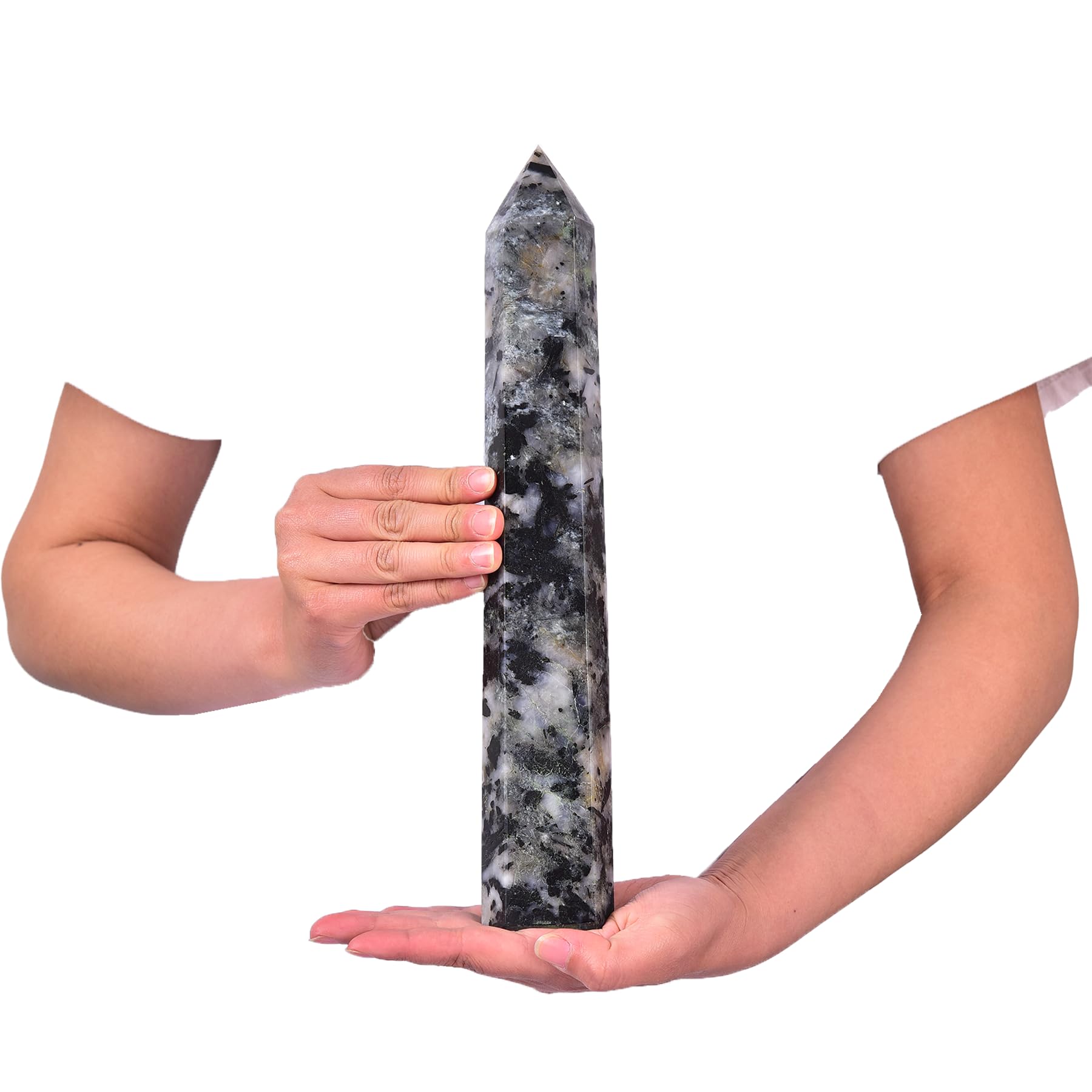 JIC Gem black and white tourmaline wand with six facets for focus.