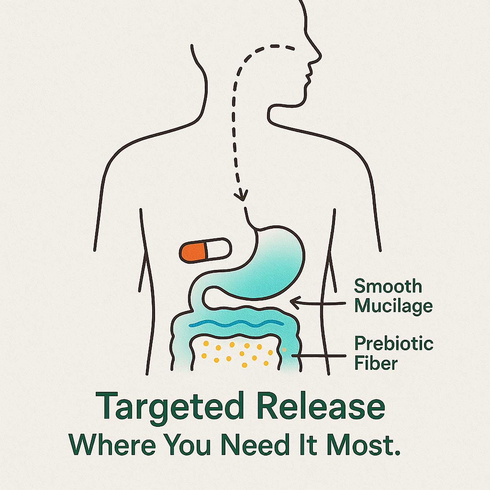 Jqewlg GutCore label design communicates usage and benefits clearly.