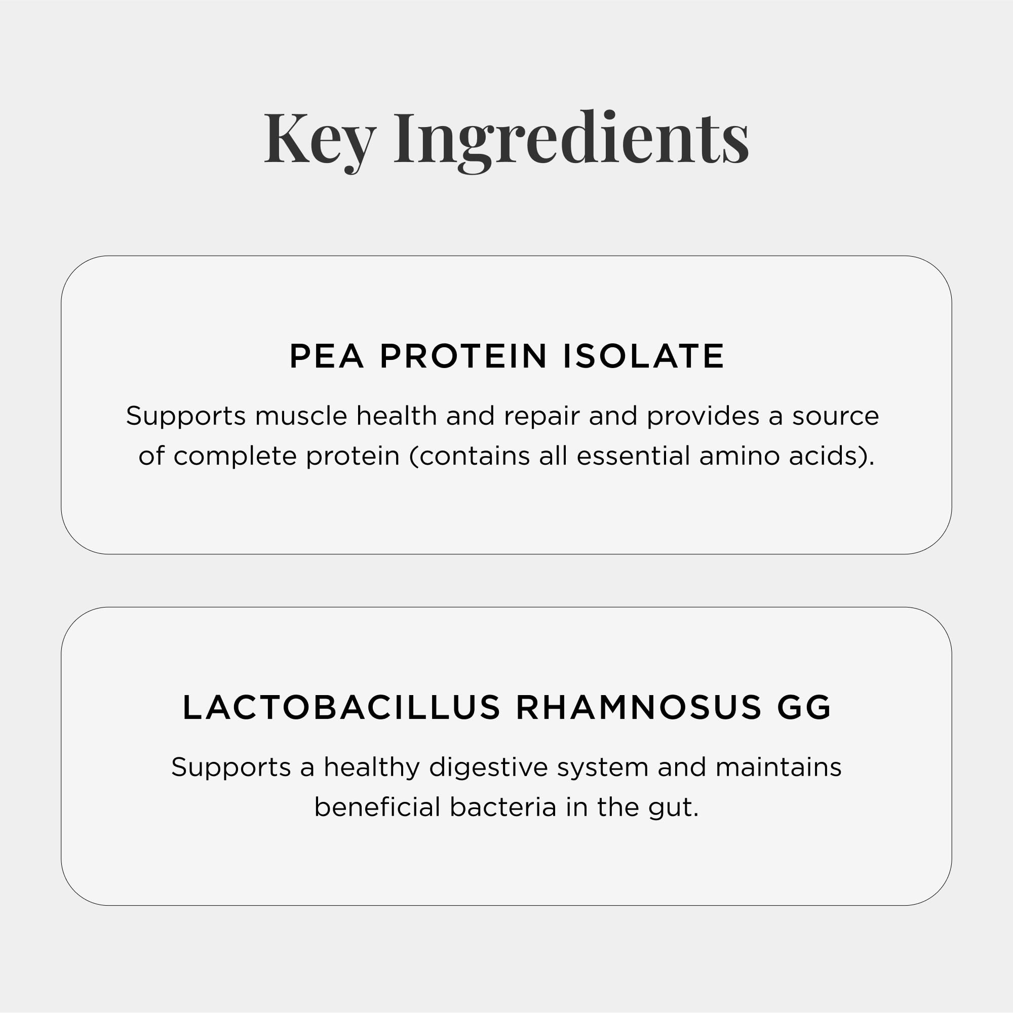 JSHealth protein powder with probiotics and vanilla bean supports smooth digestion.
