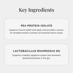 JSHealth protein powder with probiotics and vanilla bean supports smooth digestion.