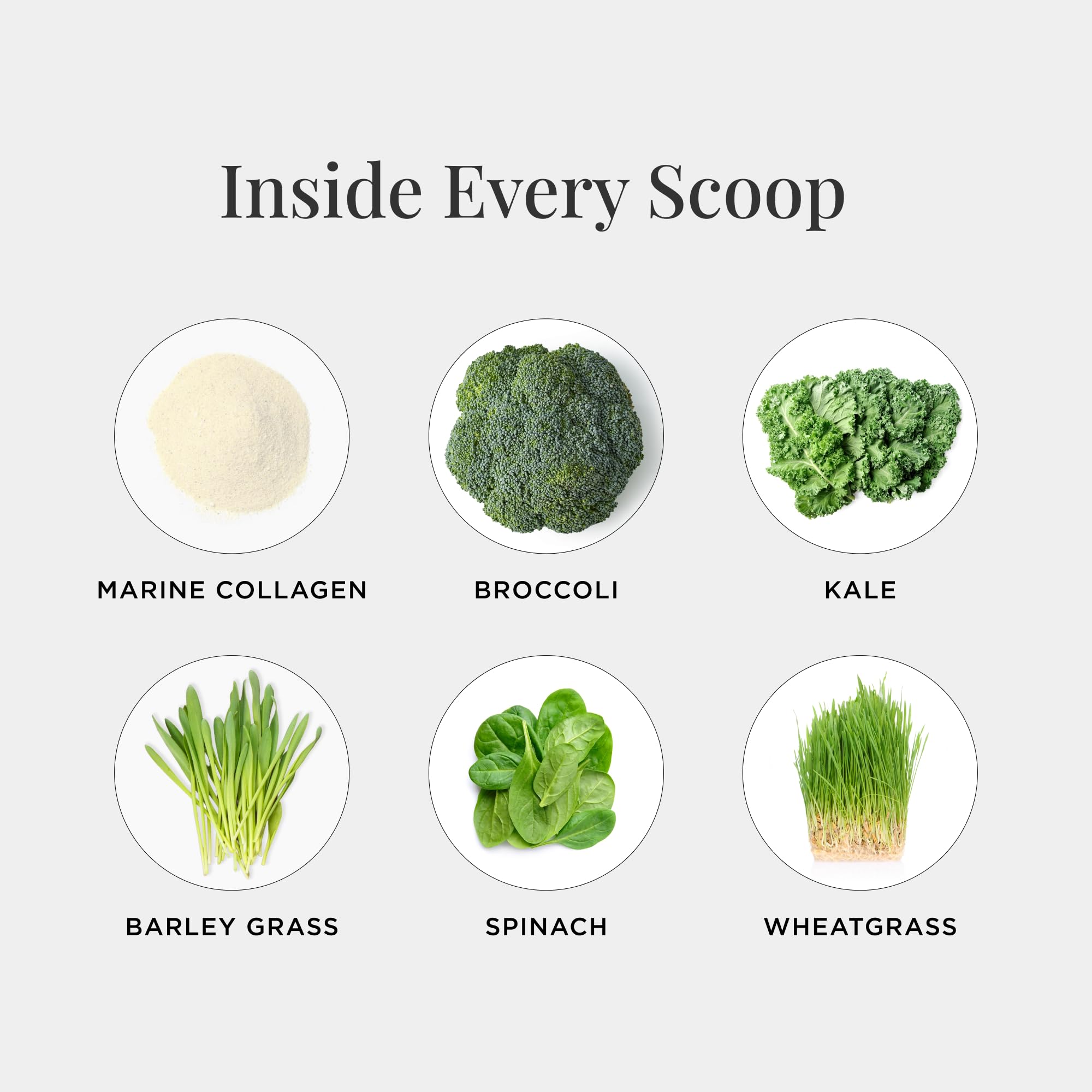 JSHealth greens blend bottle closeup emphasizing nutrient-rich ingredients.