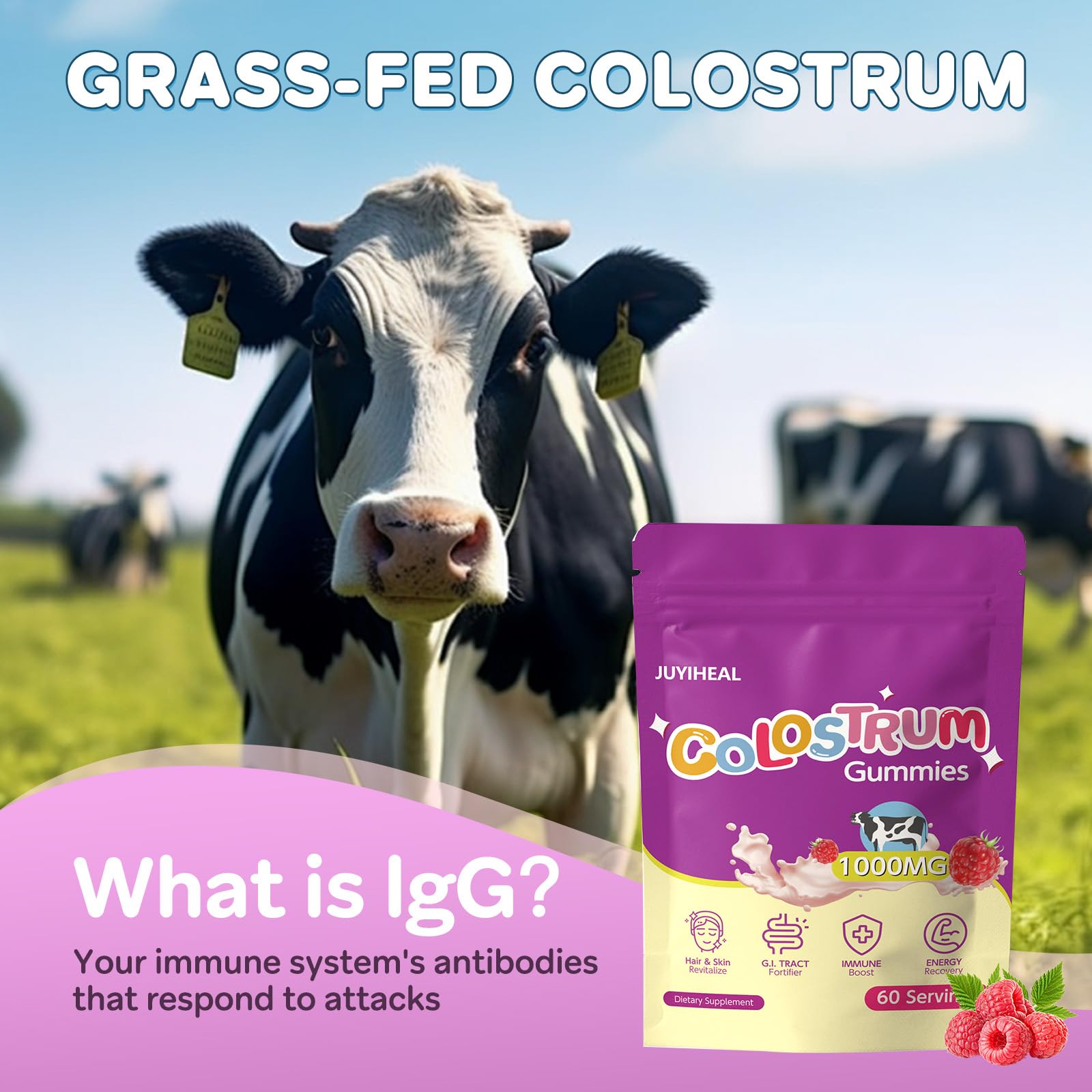 Daily-use concept with JUYIHEAL Colostrum Gummies for routine wellness.