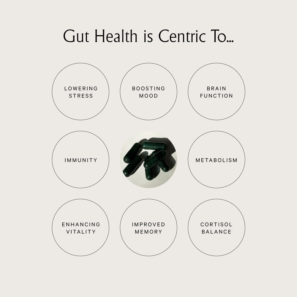 Juna Gut Therapy Cereboost American Ginseng visual highlights focus potential.