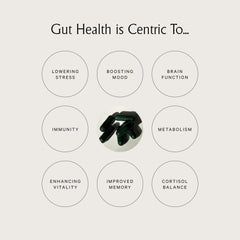Juna Gut Therapy Cereboost American Ginseng visual highlights focus potential.