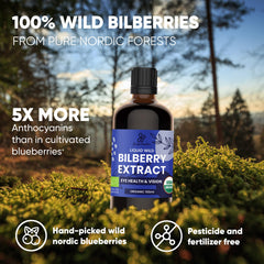 Jungle Powders eye health use scene depicts daily bilberry ritual