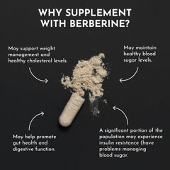 Packaging label details for JUST INGREDIENTS Berberine with ingredient transparency