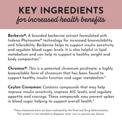 Product scene featuring JUST INGREDIENTS Berberine bottle and natural lifestyle setting