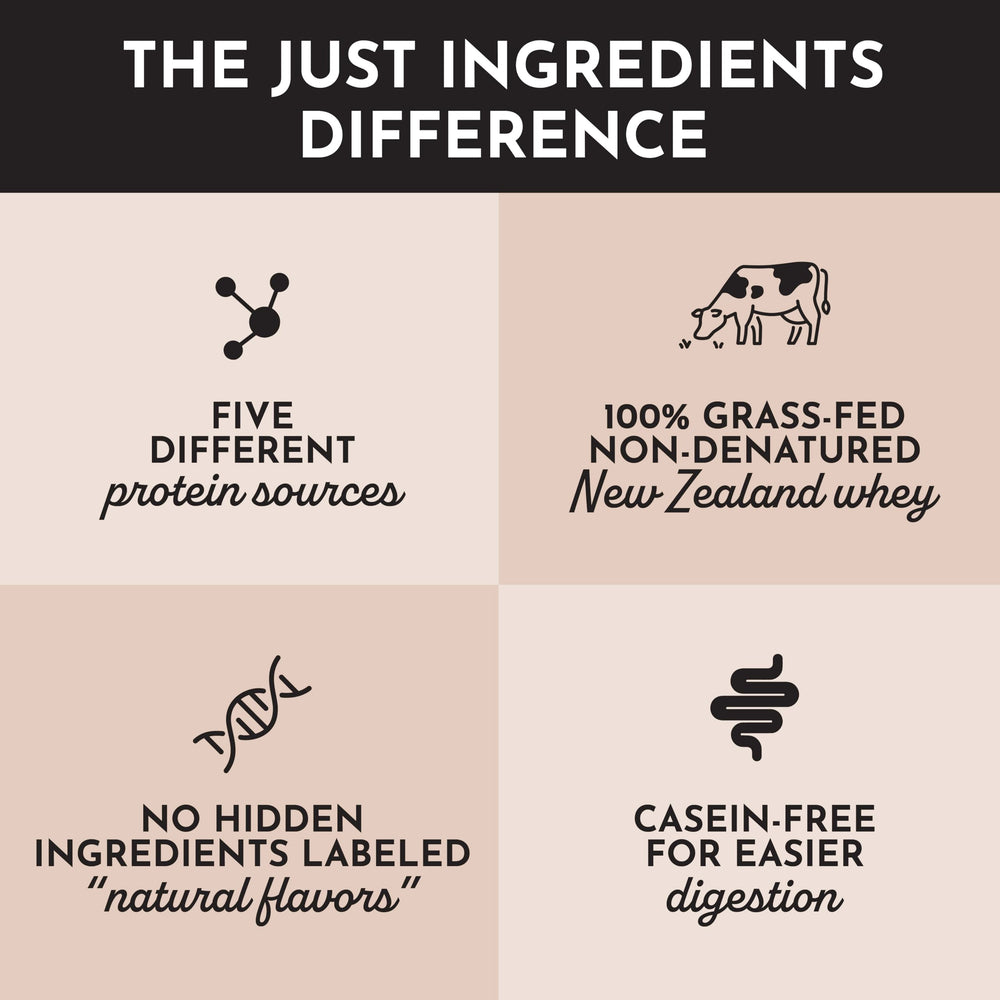 JUST INGREDIENTS chocolate protein powder in smoothie pour for an energy-boosting boost