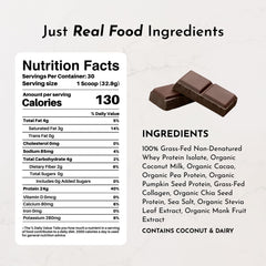 JUST INGREDIENTS chocolate protein powder scoop highlighting convenient serving for daily shakes