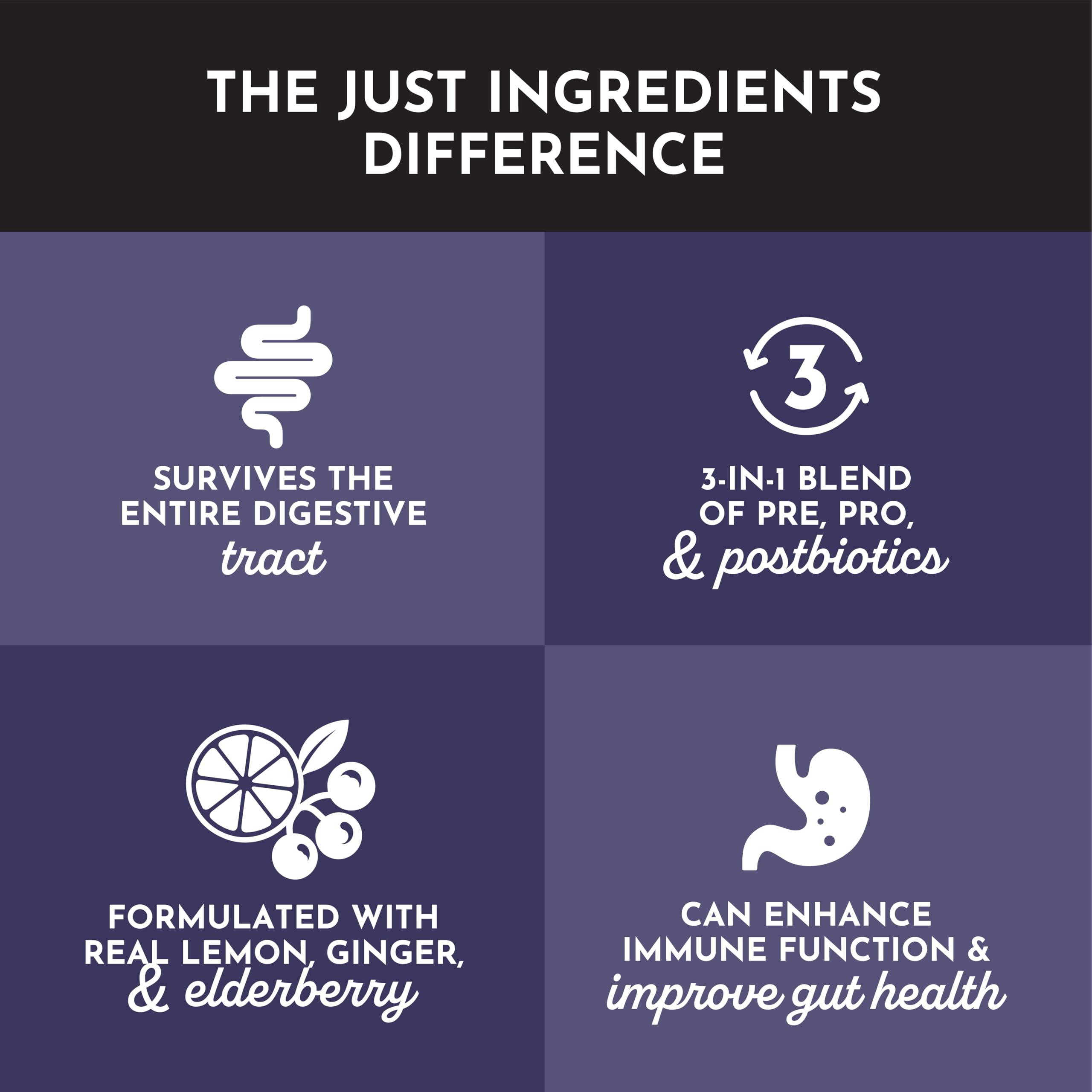 JUST INGREDIENTS Elderberry Lemonade ingredients arranged to highlight real fruit extracts and clean flavor.