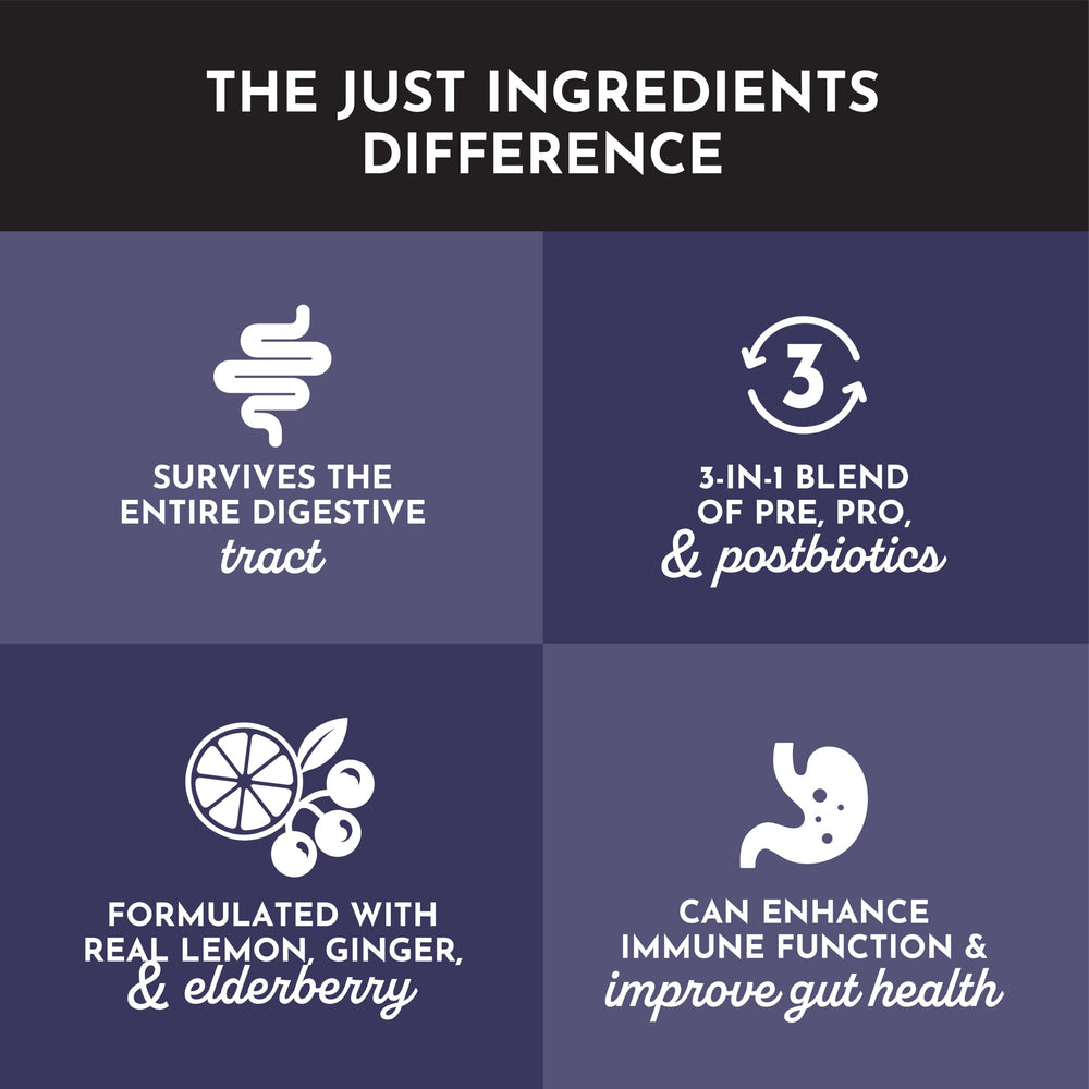 JUST INGREDIENTS Elderberry Lemonade ingredients arranged to highlight real fruit extracts and clean flavor.
