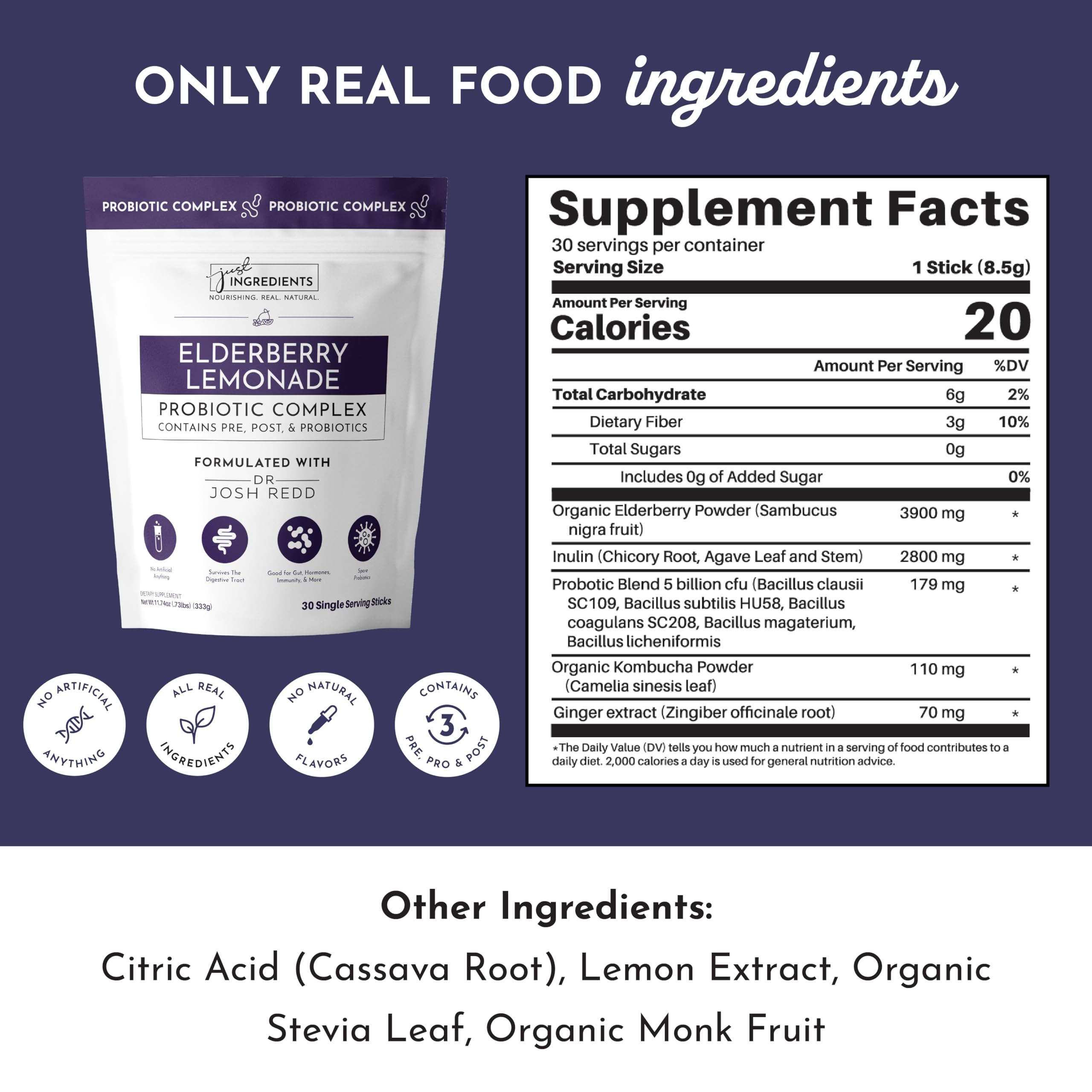 JUST INGREDIENTS Elderberry Lemonade probiotic sticks close-up highlighting convenient daily use.