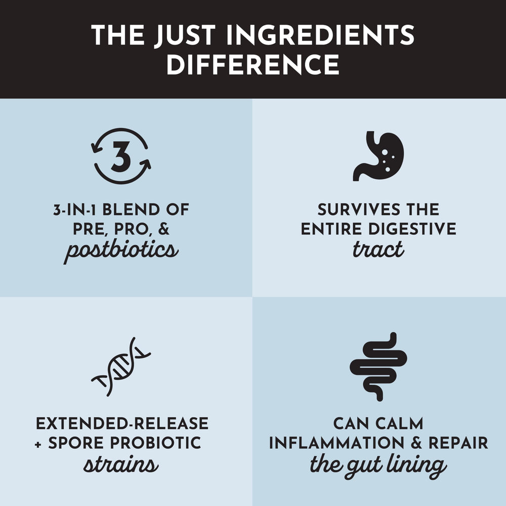Multi-strain probiotic blend illustrated for balanced gut microbiome.