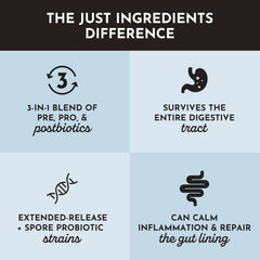 Multi-strain probiotic blend illustrated for balanced gut microbiome.