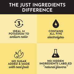 JUST INGREDIENTS Tropical Paradise Electrolytes mixing image signals easy preparation and smooth texture.