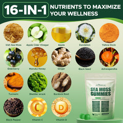 JUYIHEAL close-up shows ashwagandha and sea moss ingredients for balanced daily wellness.
