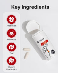 K-NUTRA Daily Synbiotic+ kimchi-derived postbiotics support gut microbiome.