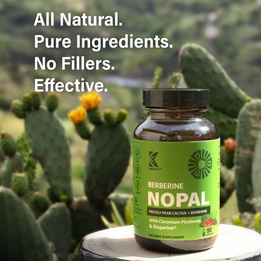 Kabooya GlucoVantage dihydroberberine capsules highlighting absorption