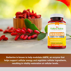 Kaibro Nutra Berberine glass bottle view indicating premium quality.