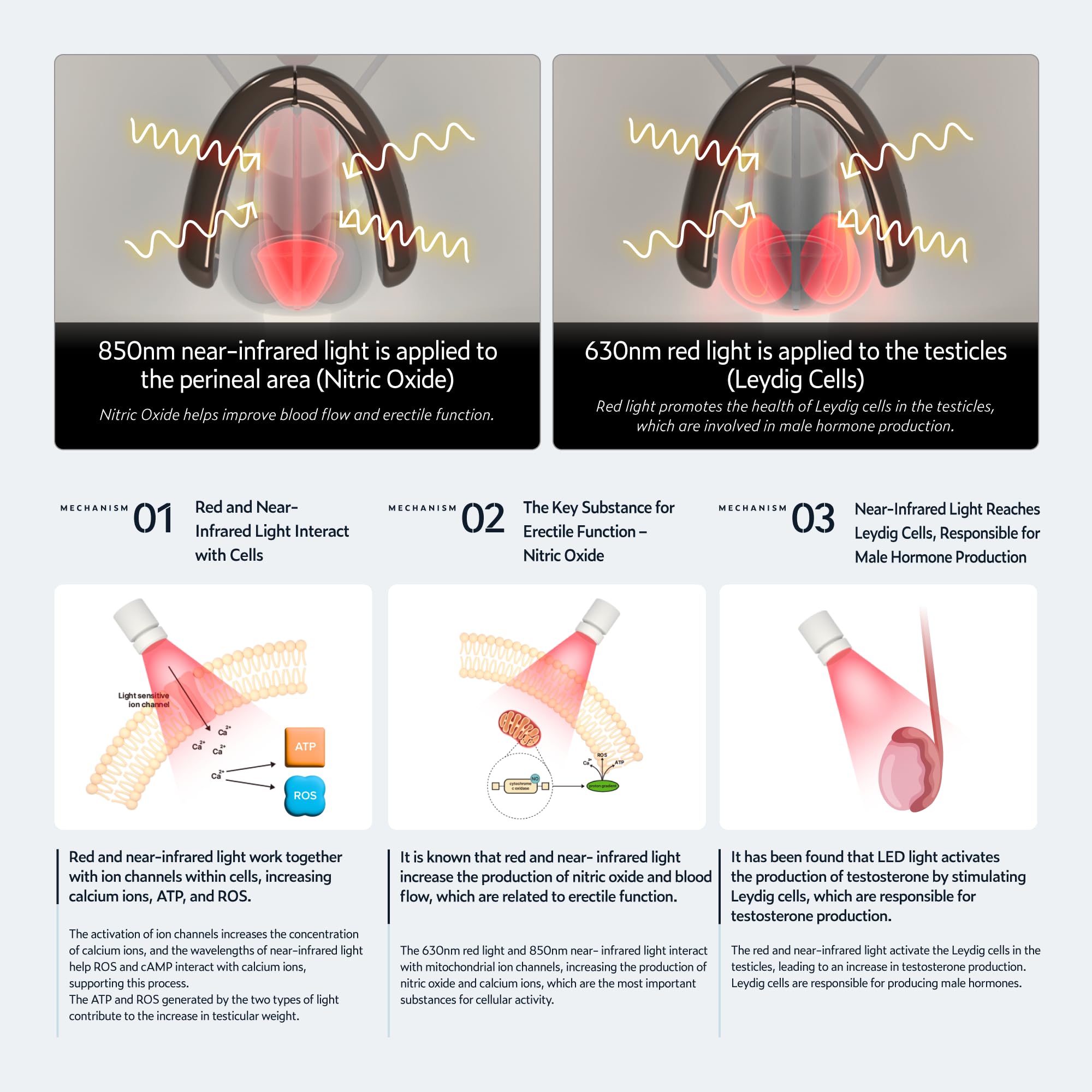 KAISAR 850nm near-infrared light targeting testicles for discreet sessions.
