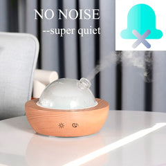 Kakoda diffuser water-fill setup with 160 ml capacity.