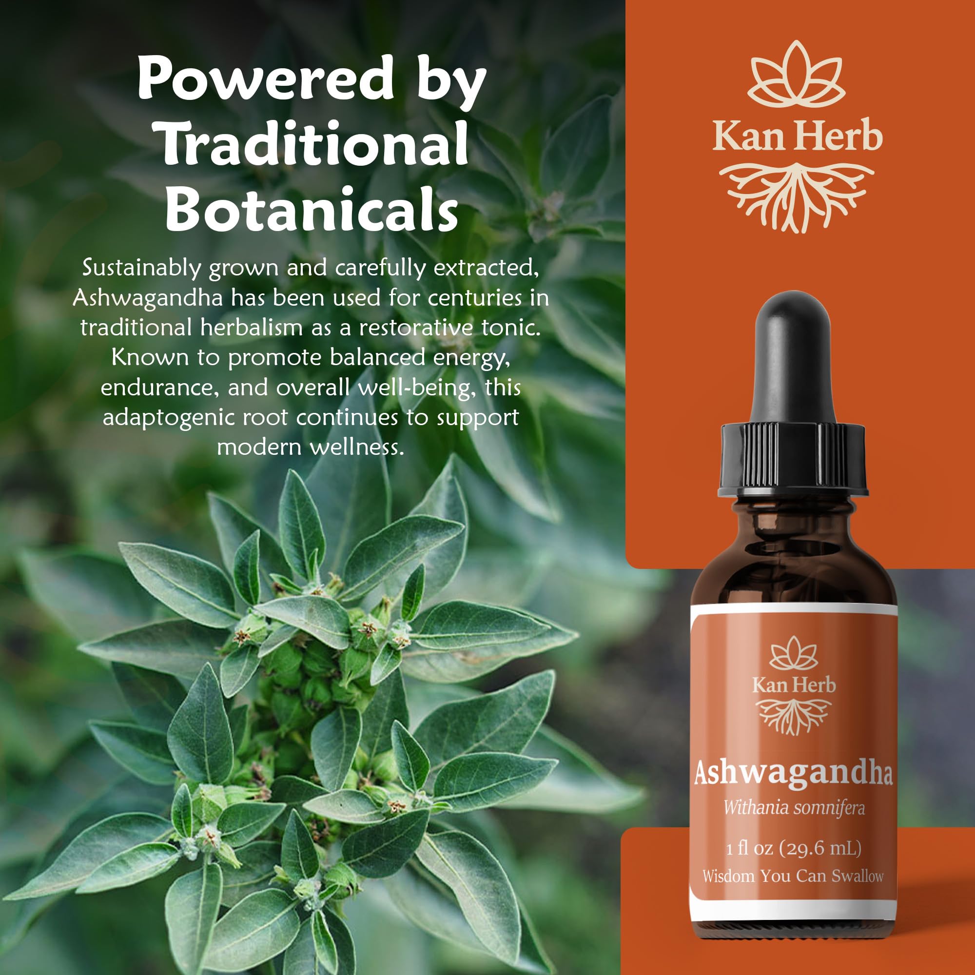 Kan Herb Ashwagandha vial with dropper for easy dosing.