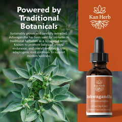 Kan Herb Ashwagandha vial with dropper for easy dosing.