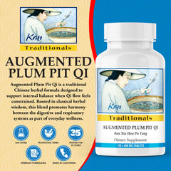 Kan Herbs Plum Pit Qi tablet in hand for daily balance