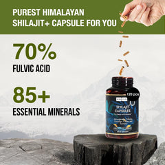 Kapiva Shilajit resin lab-testing chart shows purity and safety.