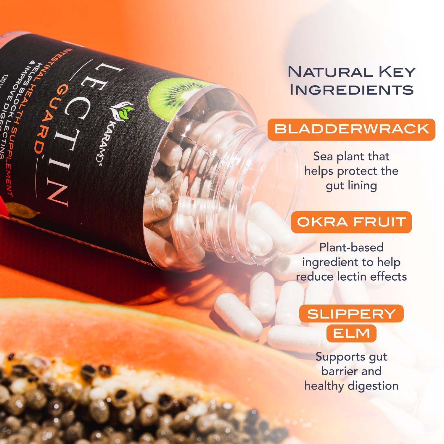 KaraMD Lectin Guard ingredients featuring bladderwrack for gut support
