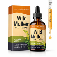 KBKTWOLT Wild Mullein Drops bottle shows a gentle herbal blend for everyday respiratory support.