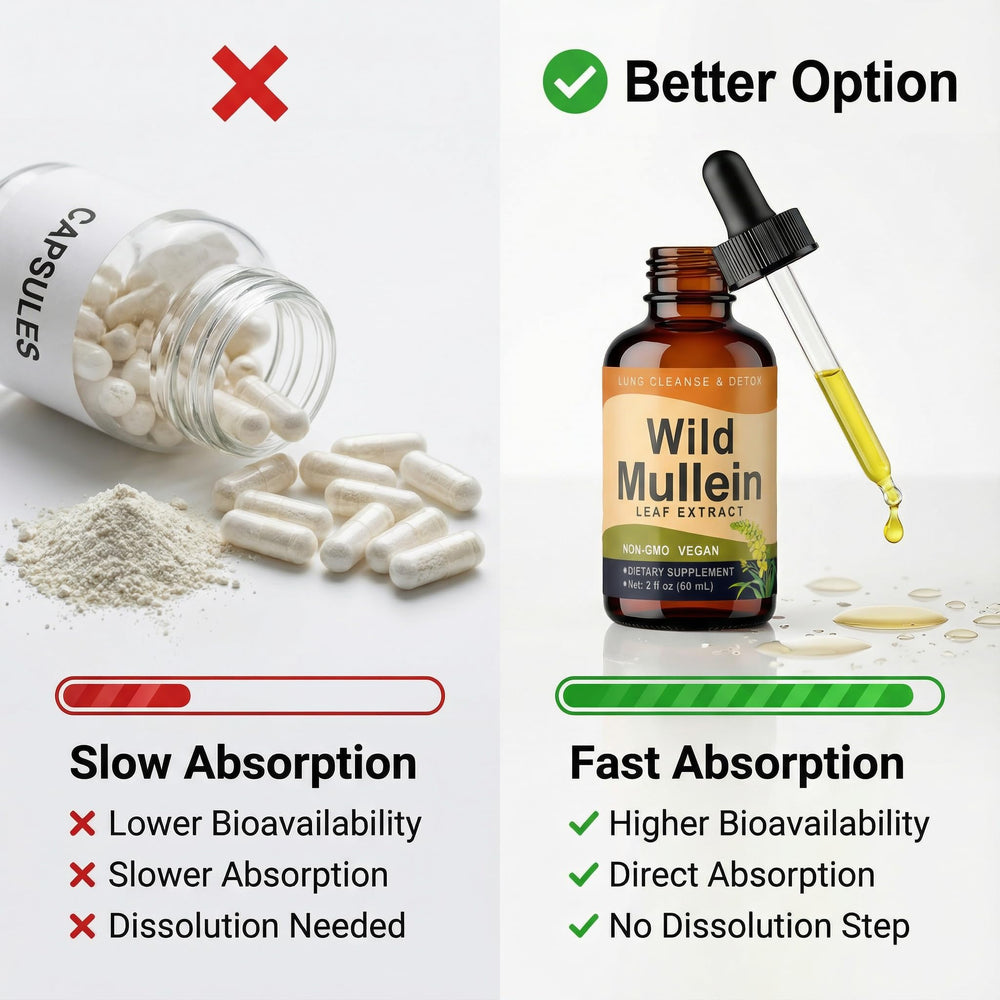KBKTWOLT Wild Mullein Drops dropper-dispense demonstrates easy, mess-free dosing.