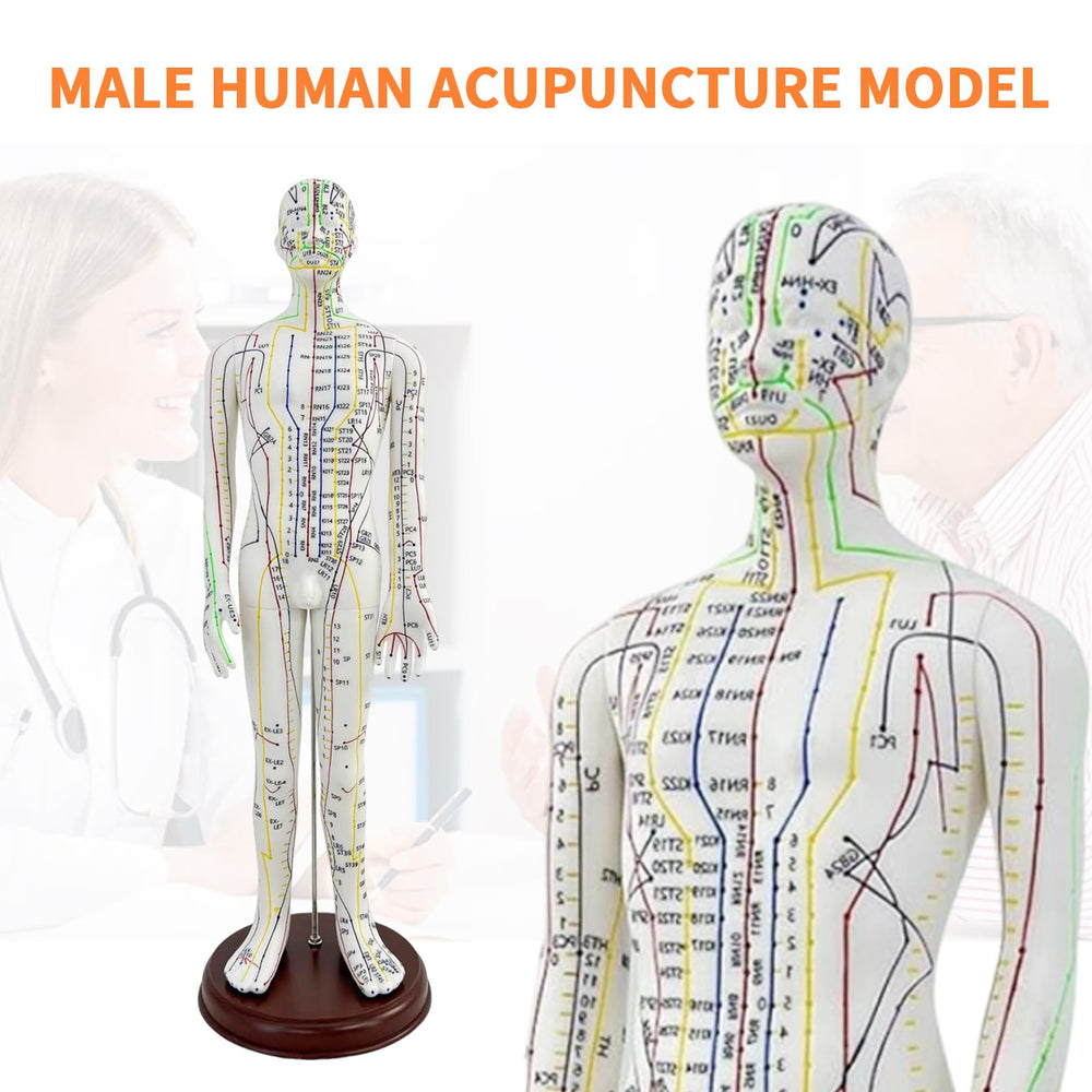KDJFS acupuncture points map with engravings highlights detailed marks for easy reference