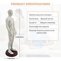 KDJFS includes both men's and women's point coverage for comprehensive study