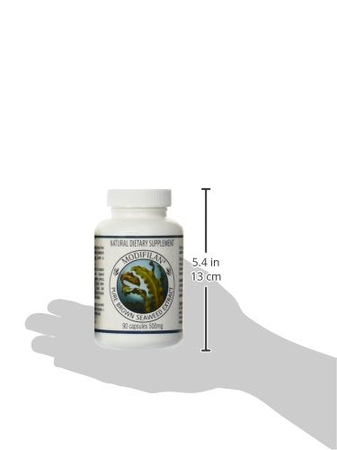 Kebiyu Modifilan six-pack box showing convenient value