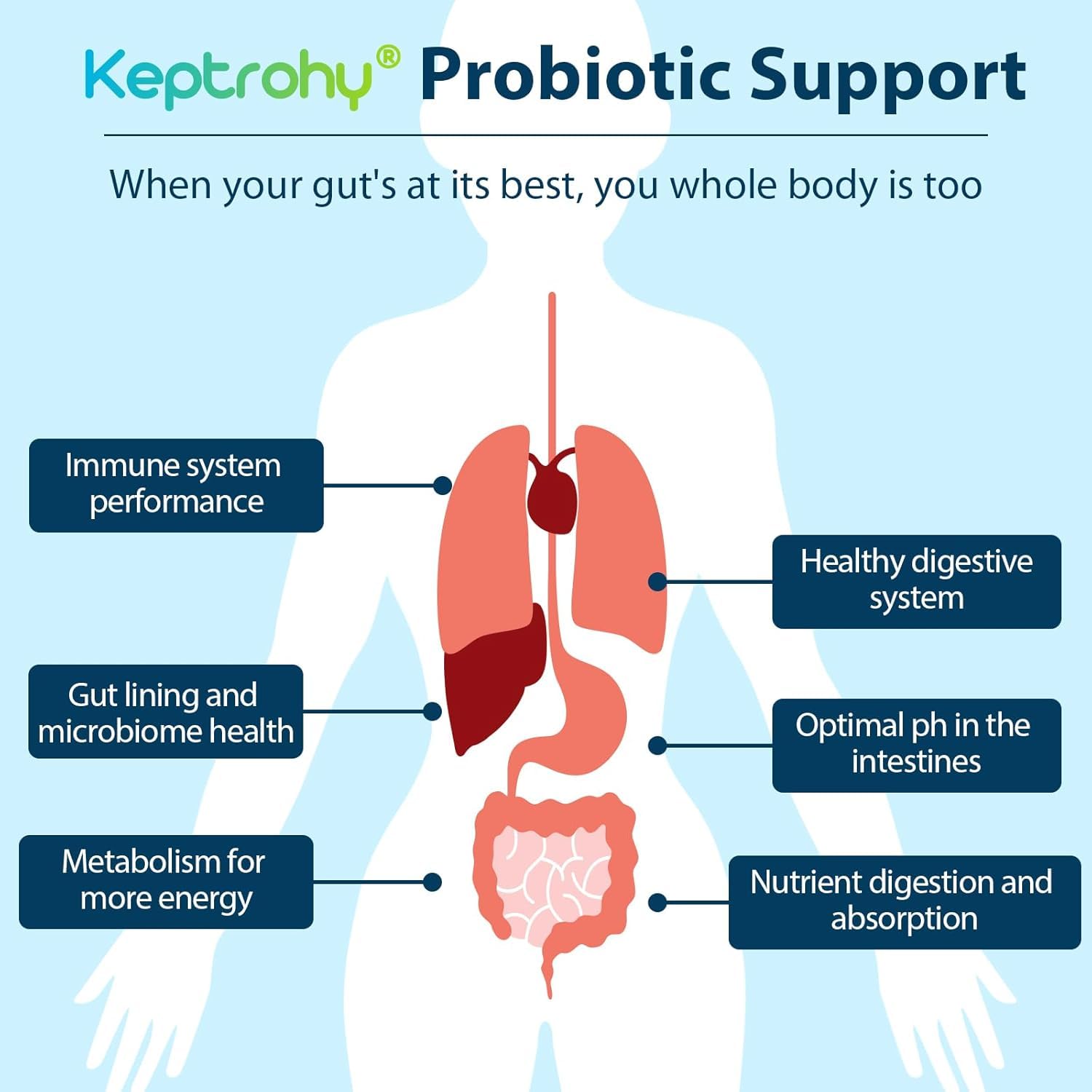 Keptrohy organic prebiotics blend emphasizes natural fiber for digestion.