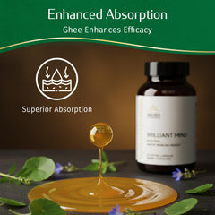 Kerala Ayurveda Brahmi Pearls ghee-based absorption matrix illustration