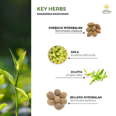 Kerala Ayurveda Narasimha Rasayanam vitality-focused image suggests overall wellness potential