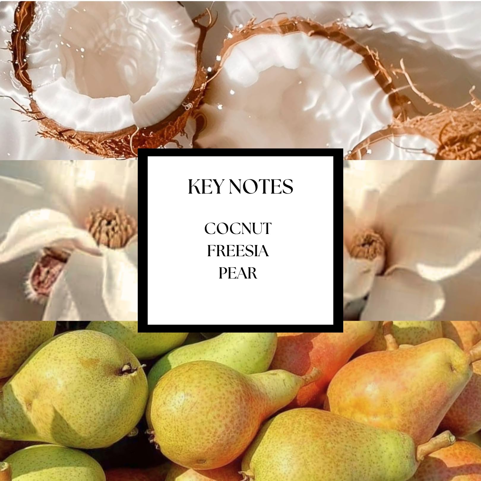 KHAPRI Beach Hotel Scent diffuser compatibility shows versatile use with diffusers.