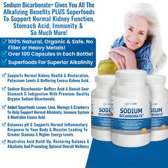 Kidney Restore moringa cranberry fusion image emphasizing the four superfoods blend.
