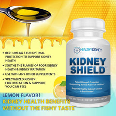 Kidney Shield eBook included graphic promoting the 2-Day Kidney Clean Out plan.