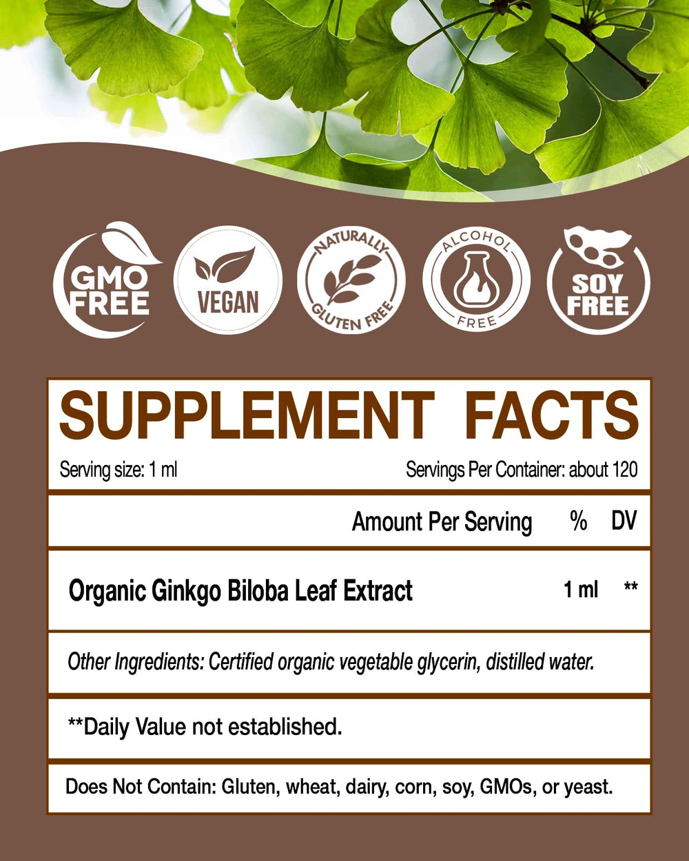 KingHealth Ginkgo Biloba Drops label-closeup highlighting vegan, non-GMO purity.
