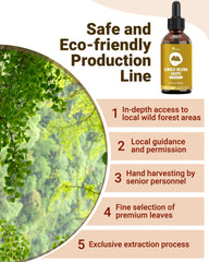 KingHealth Ginkgo Biloba Drops vegan-formulation emphasizing plant-based purity.