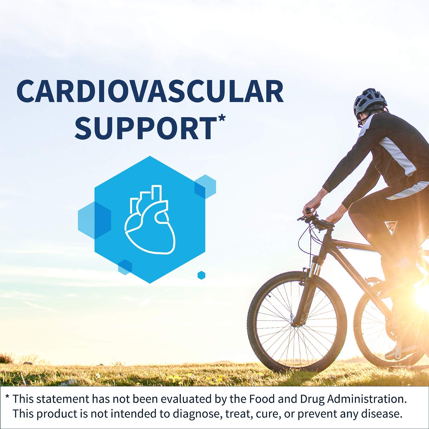 Allergen-free Klaire L-Carnitine Tartrate formula option.