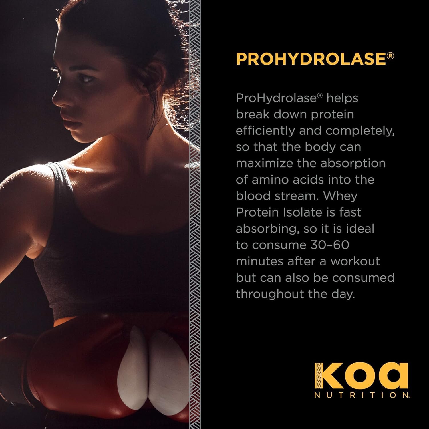 Post-workout KOA Warrior Whey Isolate shake supports recovery.
