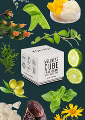 KOA ROY Wellness Cube woman-owned B Corp certification noted on pack.