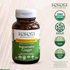 kokora Ginger capsules on hand for vegan and non-GMO choice.