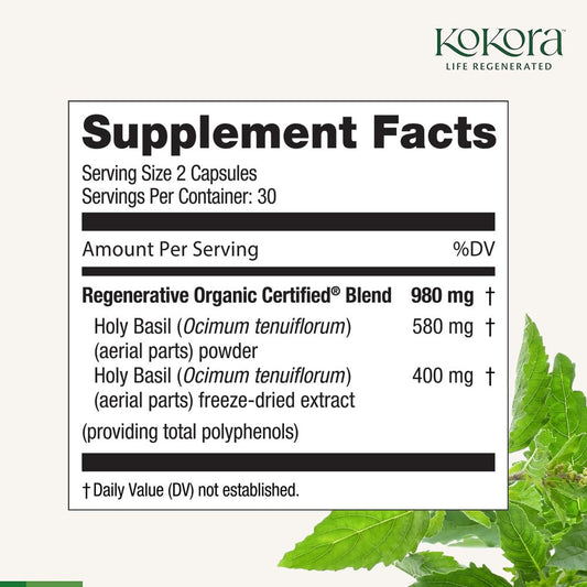 Kokora Holy Basil freeze-dried extract pack highlighting potency for stress support